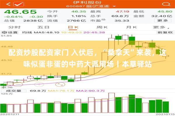 配资炒股配资家门 入伏后，“桑拿天”来袭，这味似蛋非蛋的中药大派用场丨本草驿站